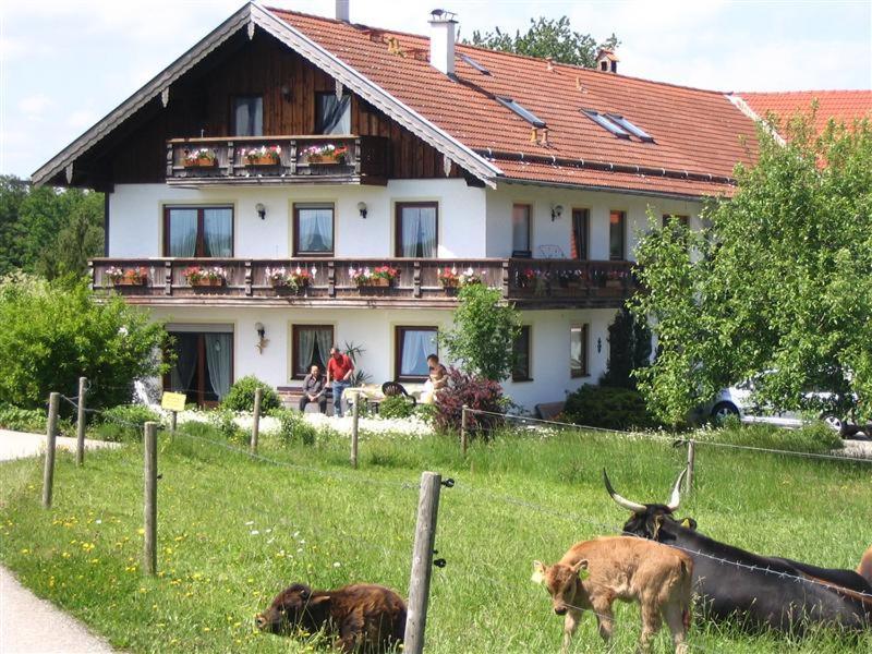 Appartamento Beim Rieder Truchtlaching Esterno foto